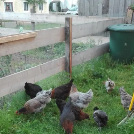 Farm stay Adersberger Annemarie - Rottau