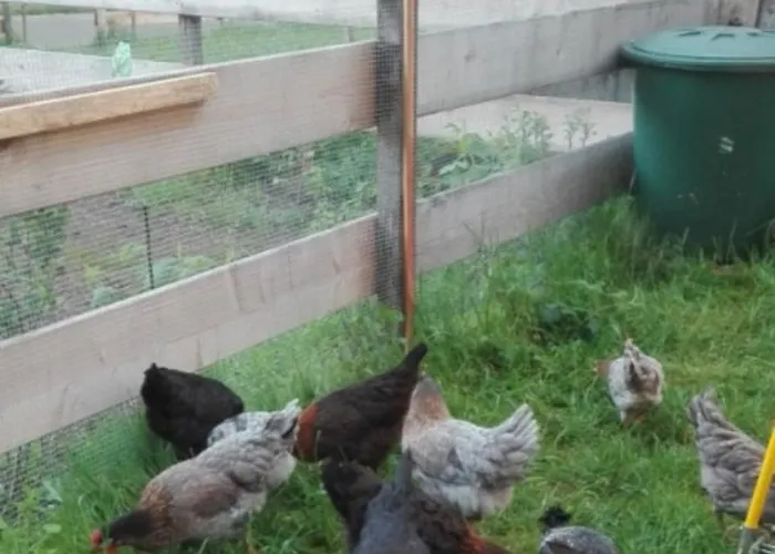 Farma Adersberger Annemarie - Rottau